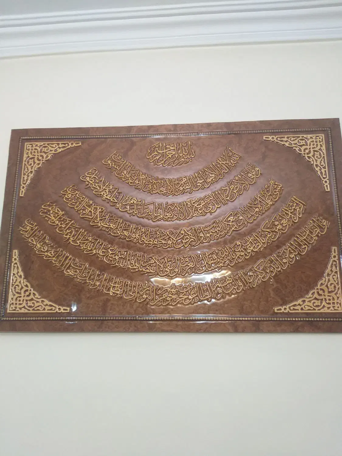 داوطلبانه|فعالیت داوطلبانه|تهران, حکمت|دیوار