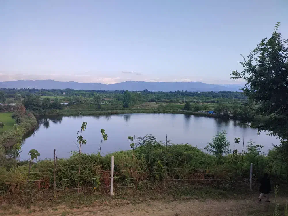 استخرماهی ۳هکتارجاده جیرده|فروش زمین و ملک کلنگی|شفت, |دیوار