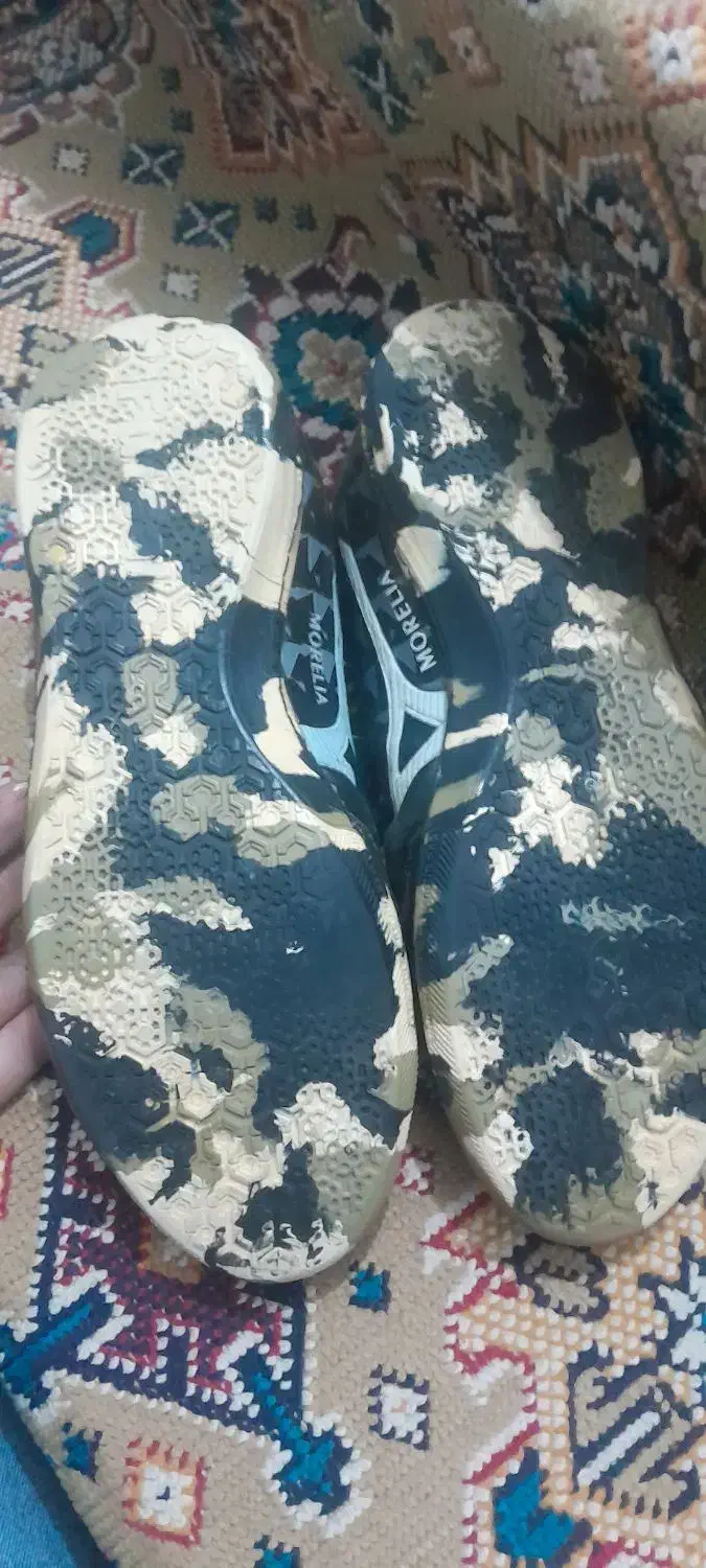 کفش ورزشی|کیف، کفش، کمربند|پارس‌آباد, |دیوار