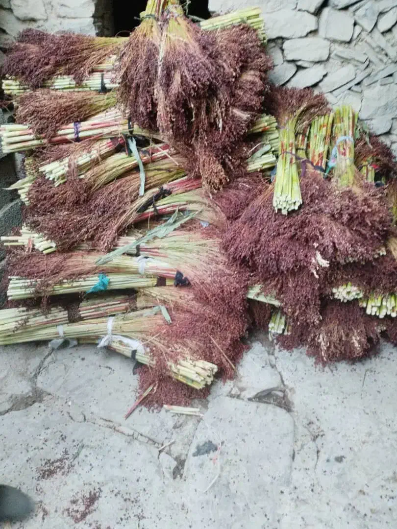 جارو درجه یک|جاروبرقی، جارو شارژی، بخارشو|کامیاران, |دیوار