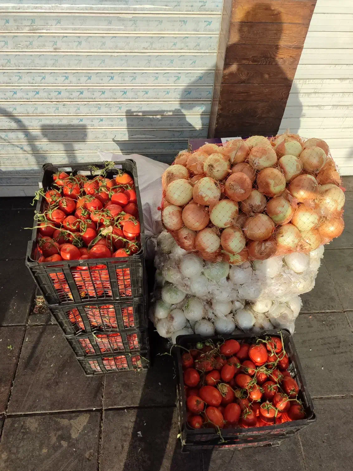 پخش تره بار رستوران و کبابی ها|عمدهفروشی|تهران, میدان میوه و ترهبار مرکزی|دیوار