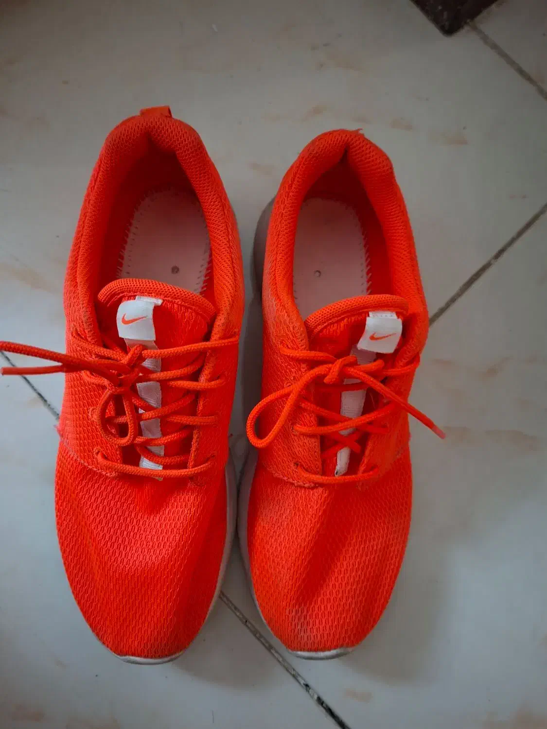 کفش و بوت|کیف، کفش، کمربند|پردیس, فاز ۱۱|دیوار