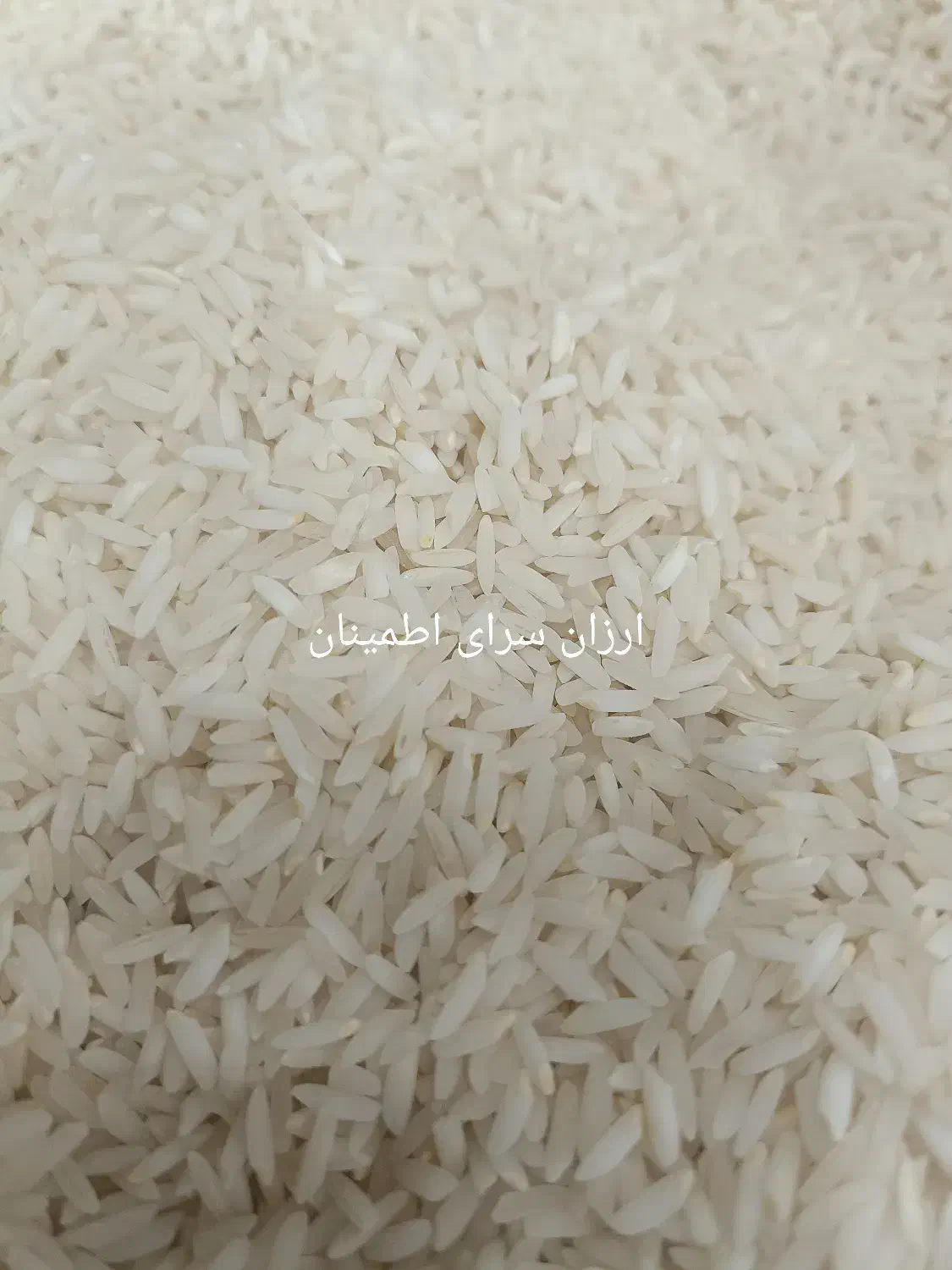 برنج ندا دابودشت (تا ۳۰ آذرماه)|خوردنی و آشامیدنی|شهریار, شهریار|دیوار