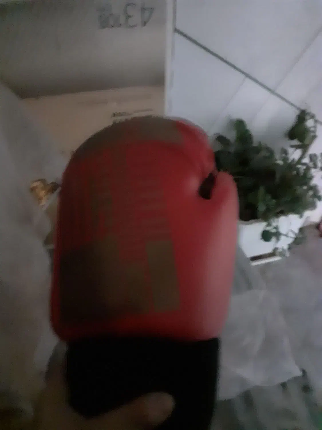 دستکش بوکس نو|تجهیزات ورزشی|شاهین‌شهر, بوستان حافظ|دیوار