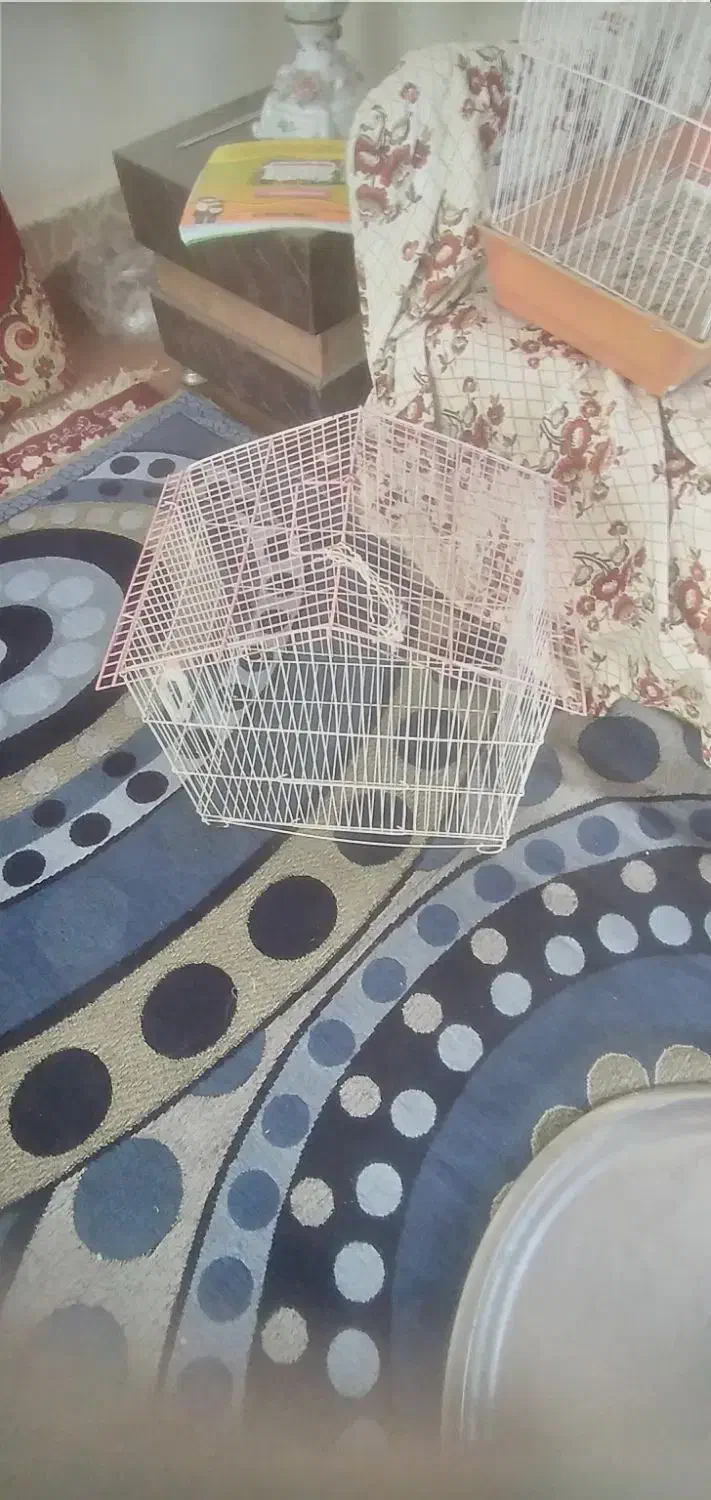 ۸ عدد قفس|لوازم جانبی حیوانات|مشگین شهر, |دیوار