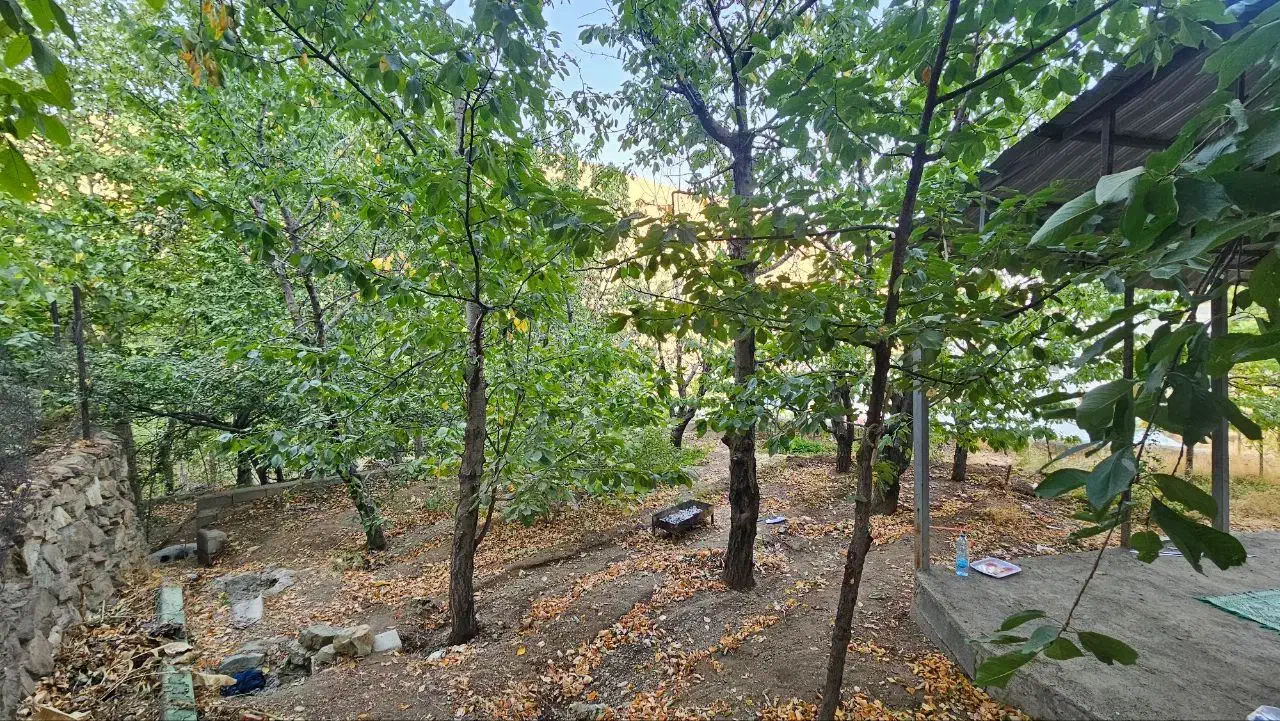 فروش زمین و باغ گیلاس|فروش زمین و ملک کلنگی|کن, |دیوار