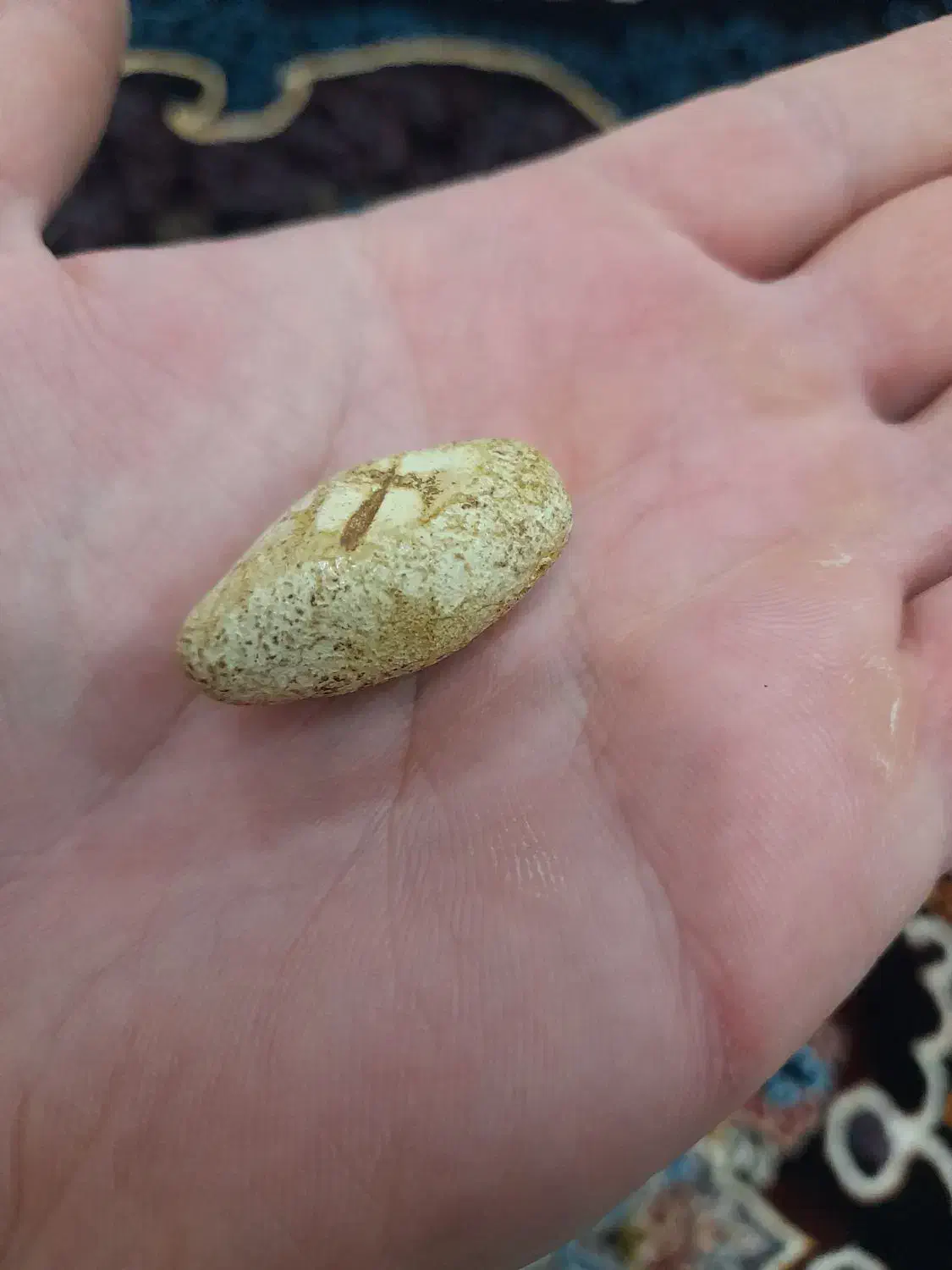 مهره اصل ب شرط|کلکسیون اشیاء عتیقه|شباب, |دیوار