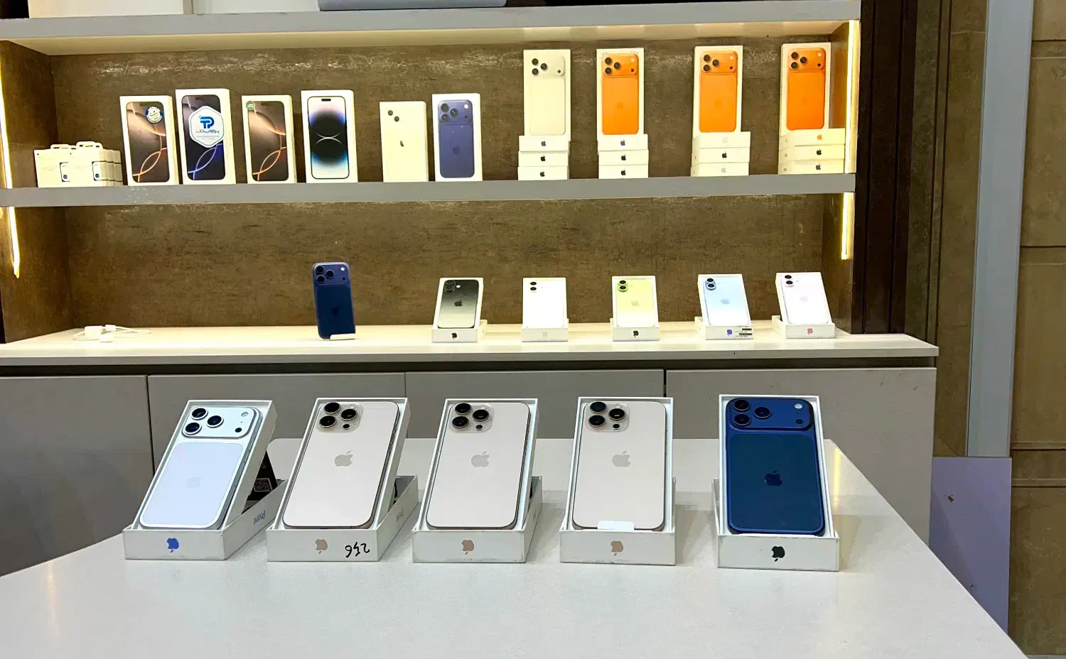 17promax|موبایل|شیراز, فرهنگ شهر|دیوار