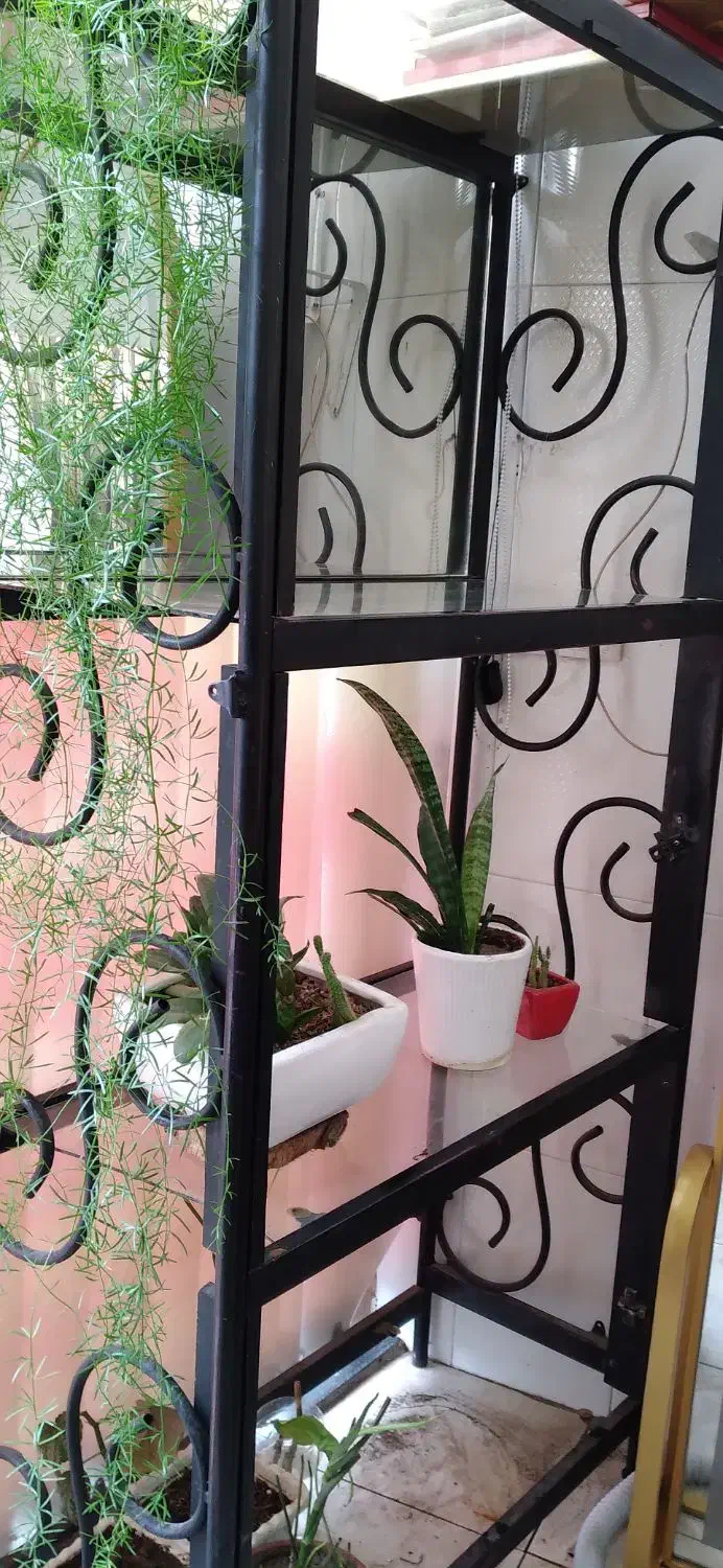 بوفه اهنی|بوفه، ویترین، کنسول|تبریز, |دیوار