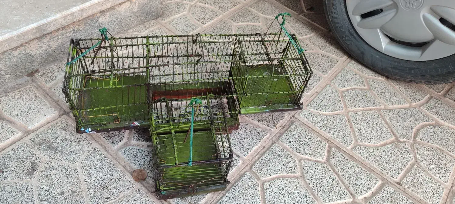 قفس سهره|لوازم جانبی حیوانات|تربت جام, میان جام|دیوار