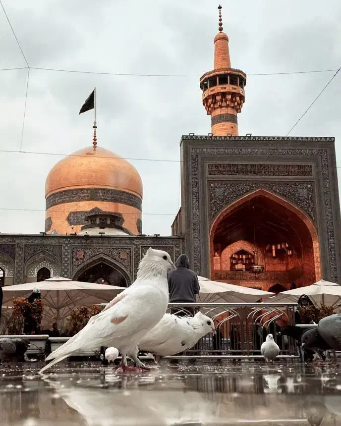 تور زیارتی مشهد|تور و چارتر|تاکستان, |دیوار