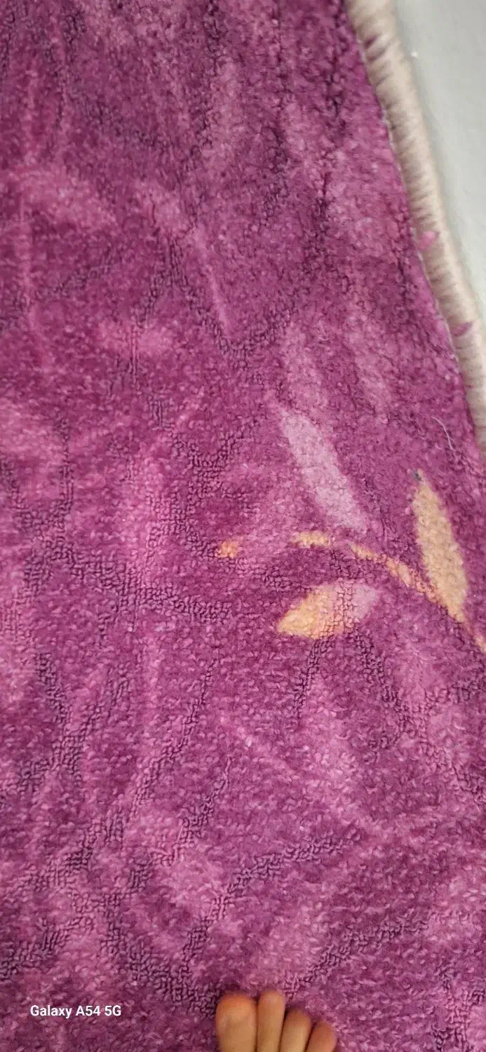 موکت پرز دار نو|موکت|ایوان, |دیوار