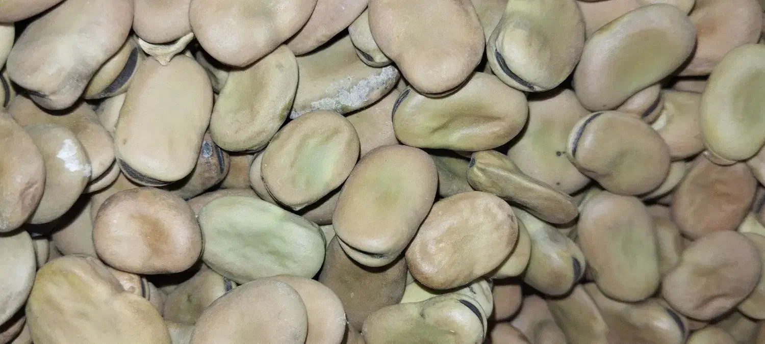 باقلا|خوردنی و آشامیدنی|سرپل ذهاب, |دیوار