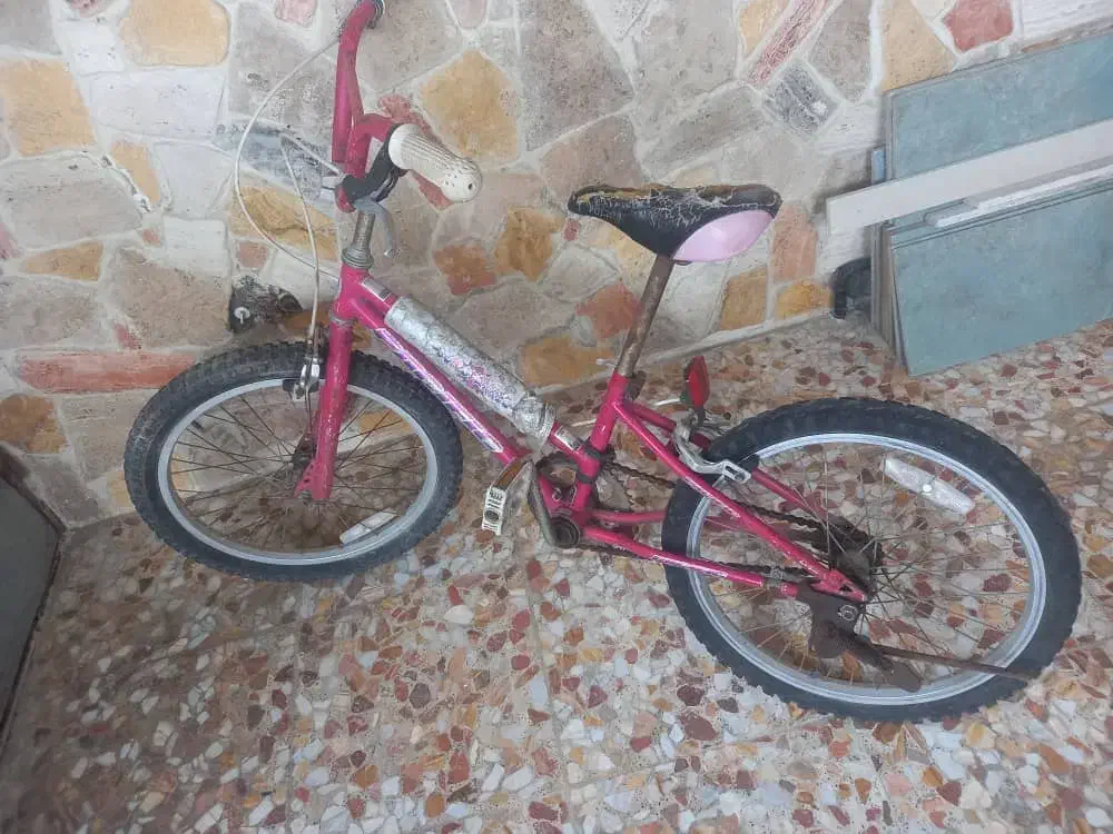 دوچرخه دو عدد کوچک و بزرگ|دوچرخه، اسکیت، اسکوتر|سلمان‌شهر, |دیوار