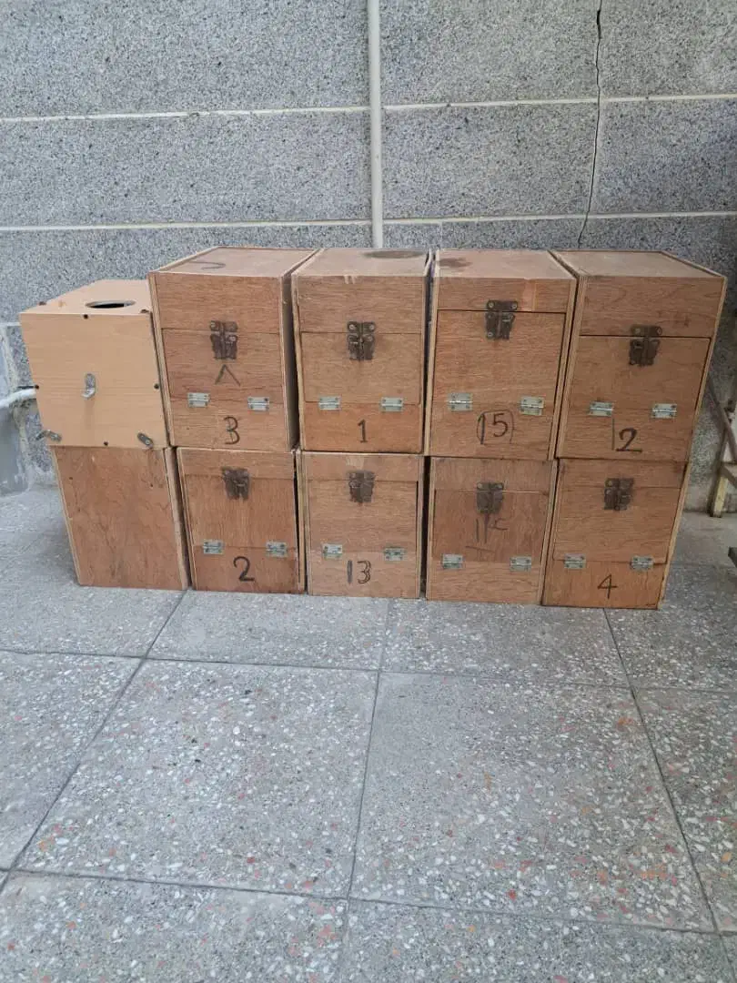 تعداد10 عدد لانه طوطی راهب .گرینچیک .ملنگو|لوازم جانبی حیوانات|شهریار, کردزار|دیوار