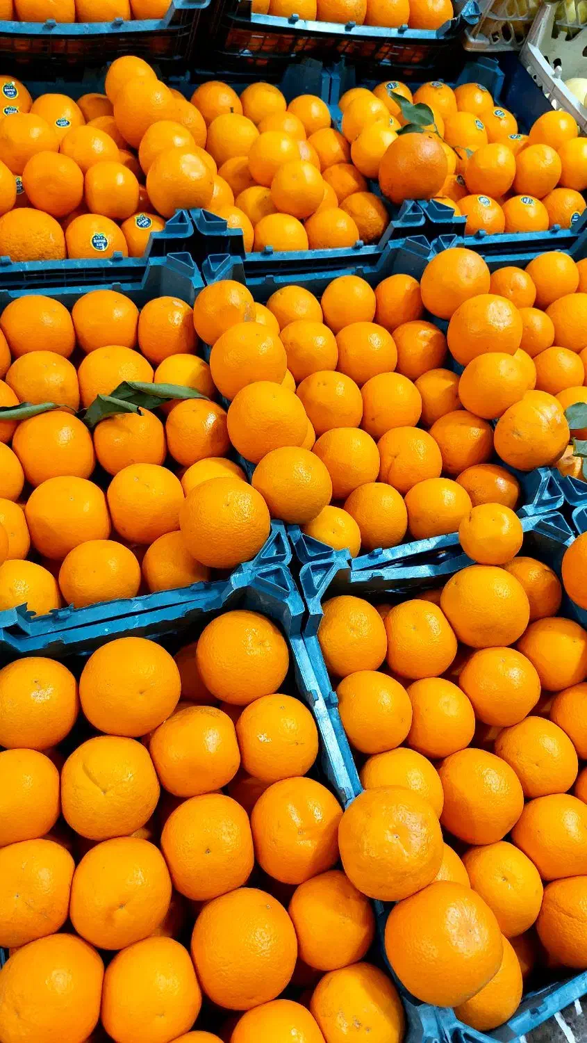 پرتغال شیرین و آبدار + هایپر میوه گلچین|خوردنی و آشامیدنی|شاهدشهر, |دیوار