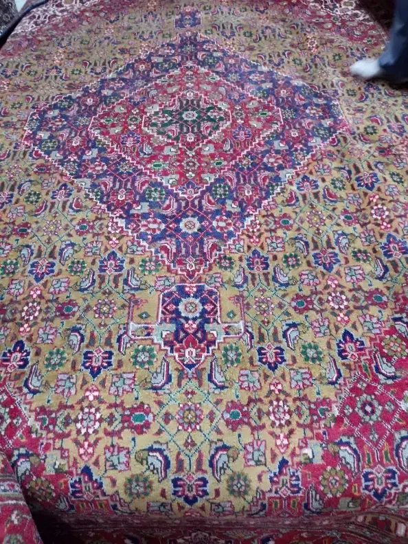 تک 12متری دستباف طرح ماهی رنگ کم یاب|فرش|تهران, آرژانتین|دیوار