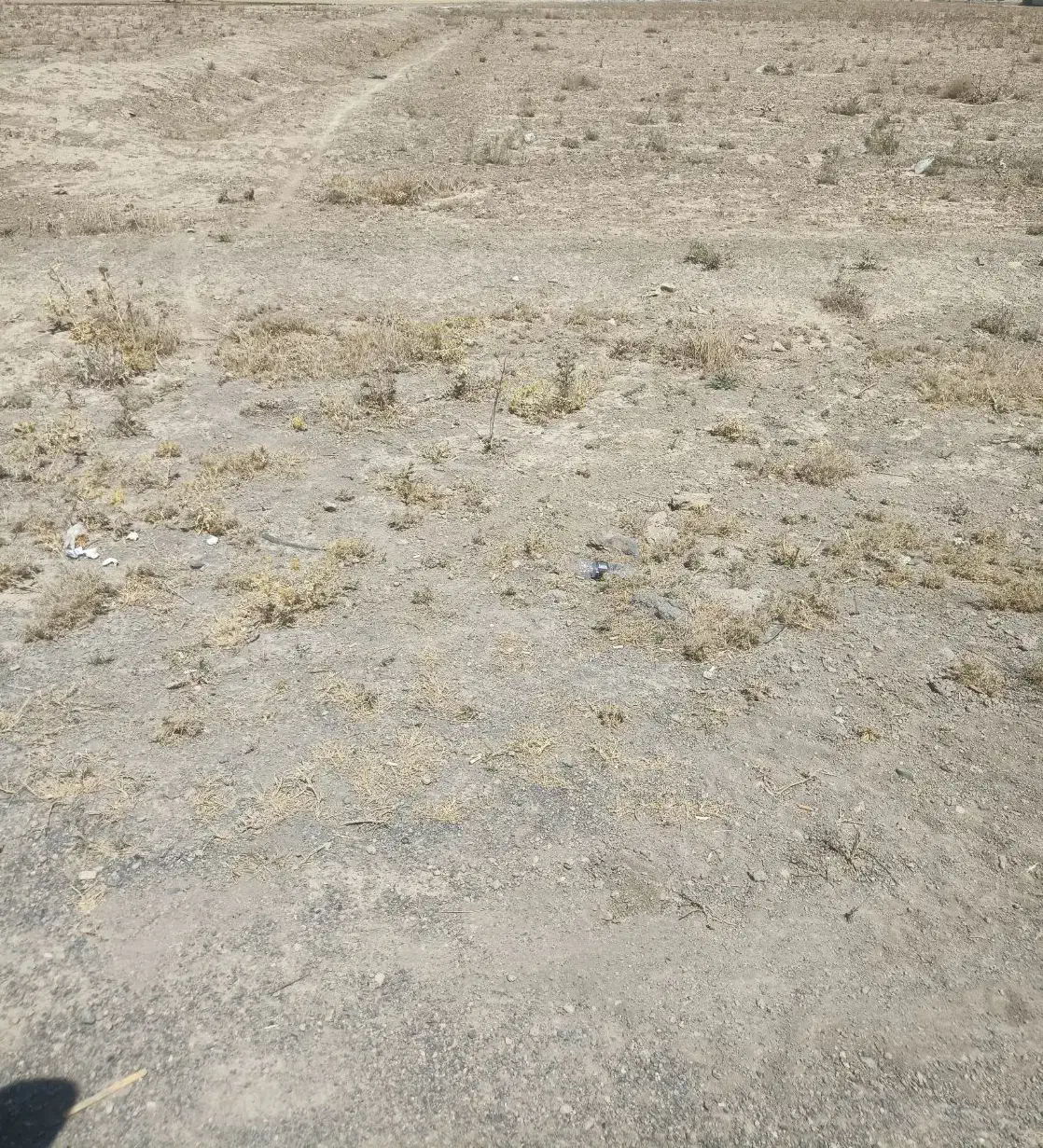 زمین مناسب گلخانه|فروش دفتر صنعتی، کشاورزی، تجاری|عسگران, |دیوار