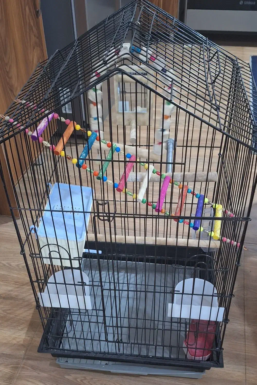 قفس پرنده|لوازم جانبی حیوانات|ملایر, |دیوار