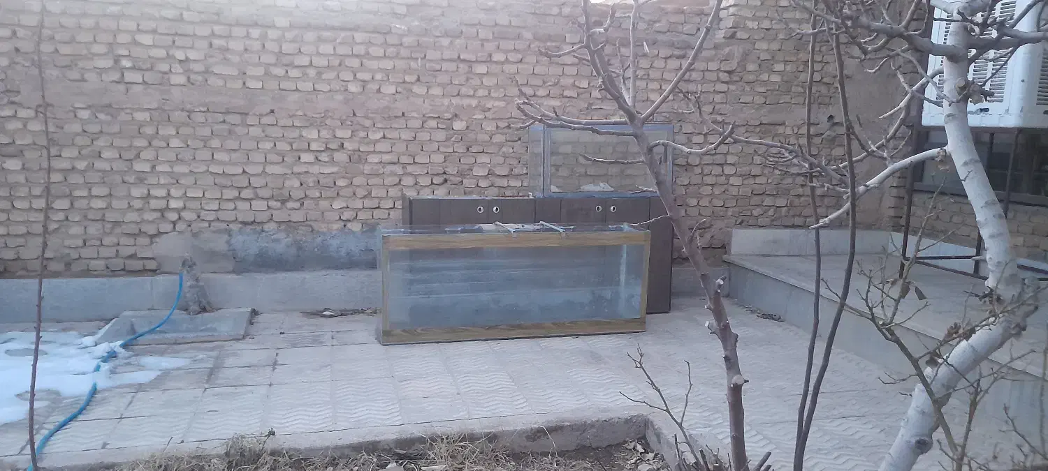 فروش اکواریوم|ماهی|آباده, |دیوار