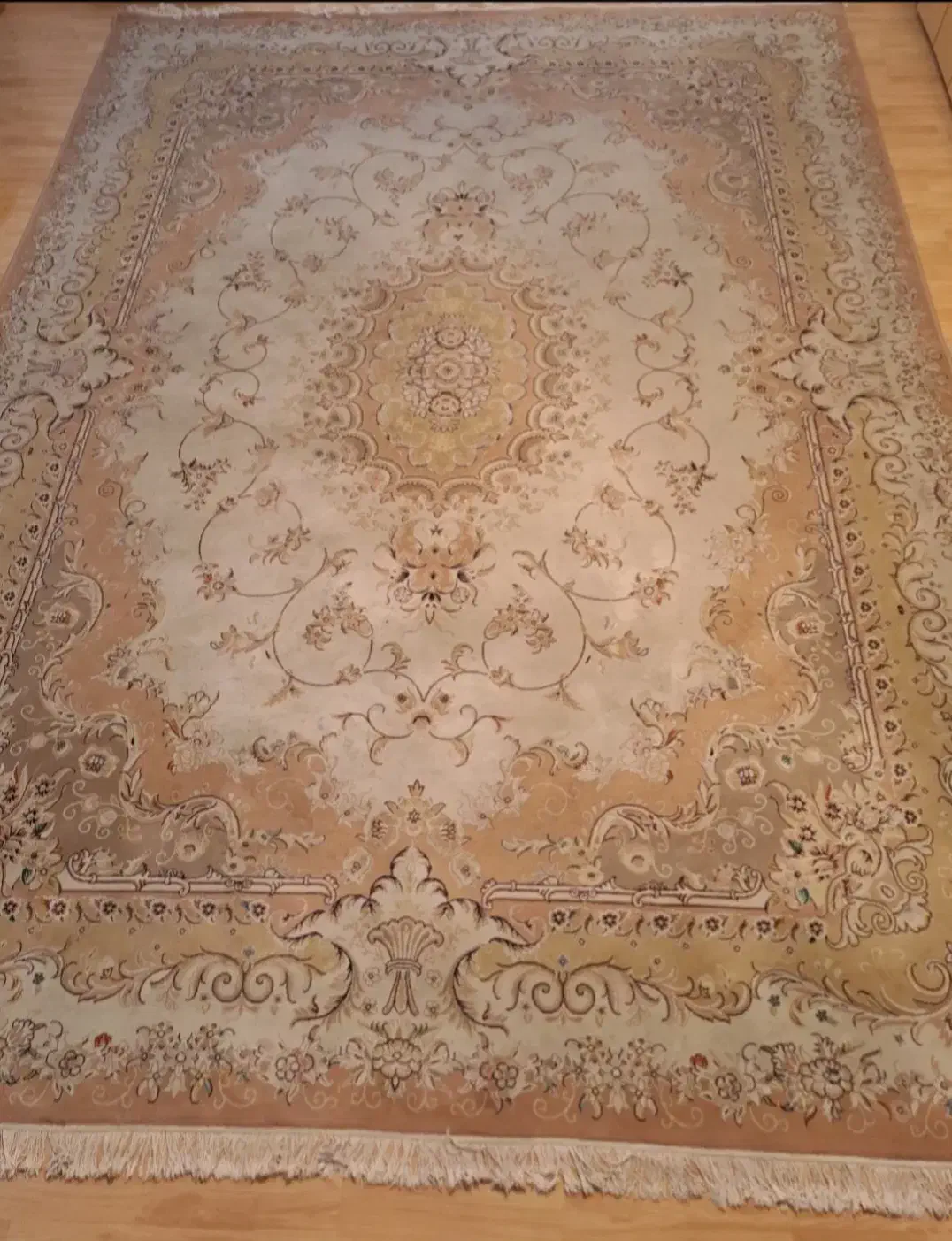 فرش|فرش|رشت, بلوار گیلان|دیوار