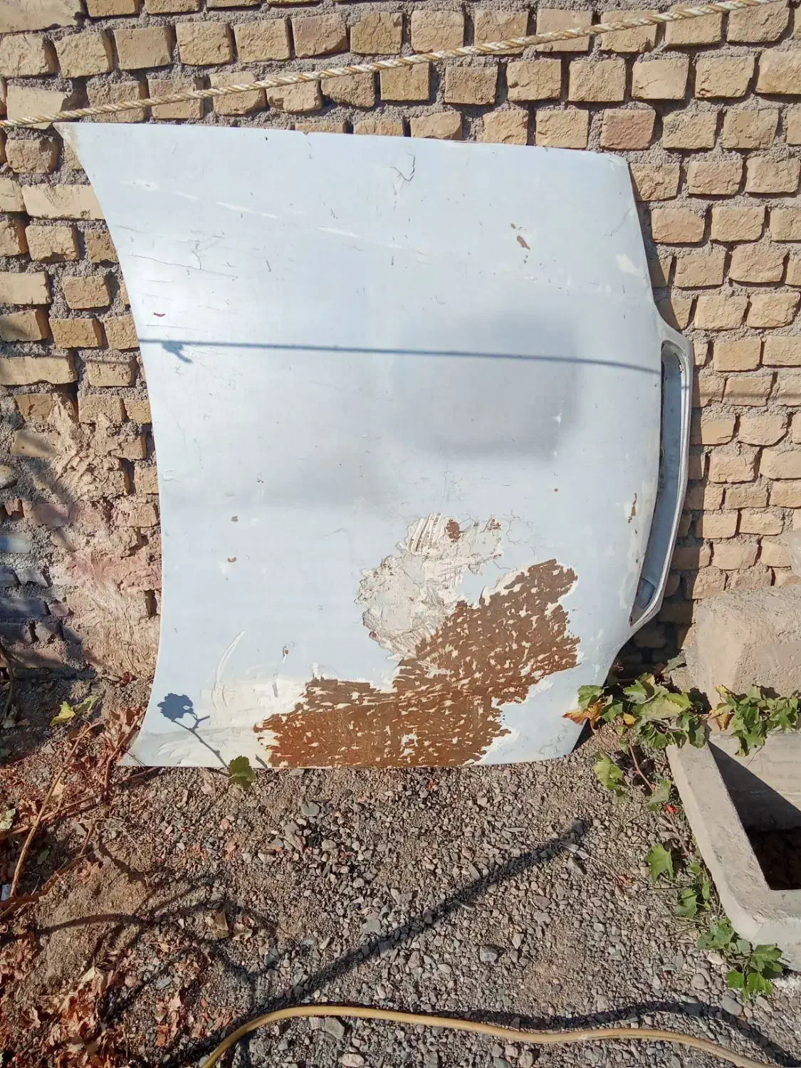 کاپوت زانتیا آماده رنگ|قطعات یدکی و لوازم جانبی|شهرآباد, |دیوار