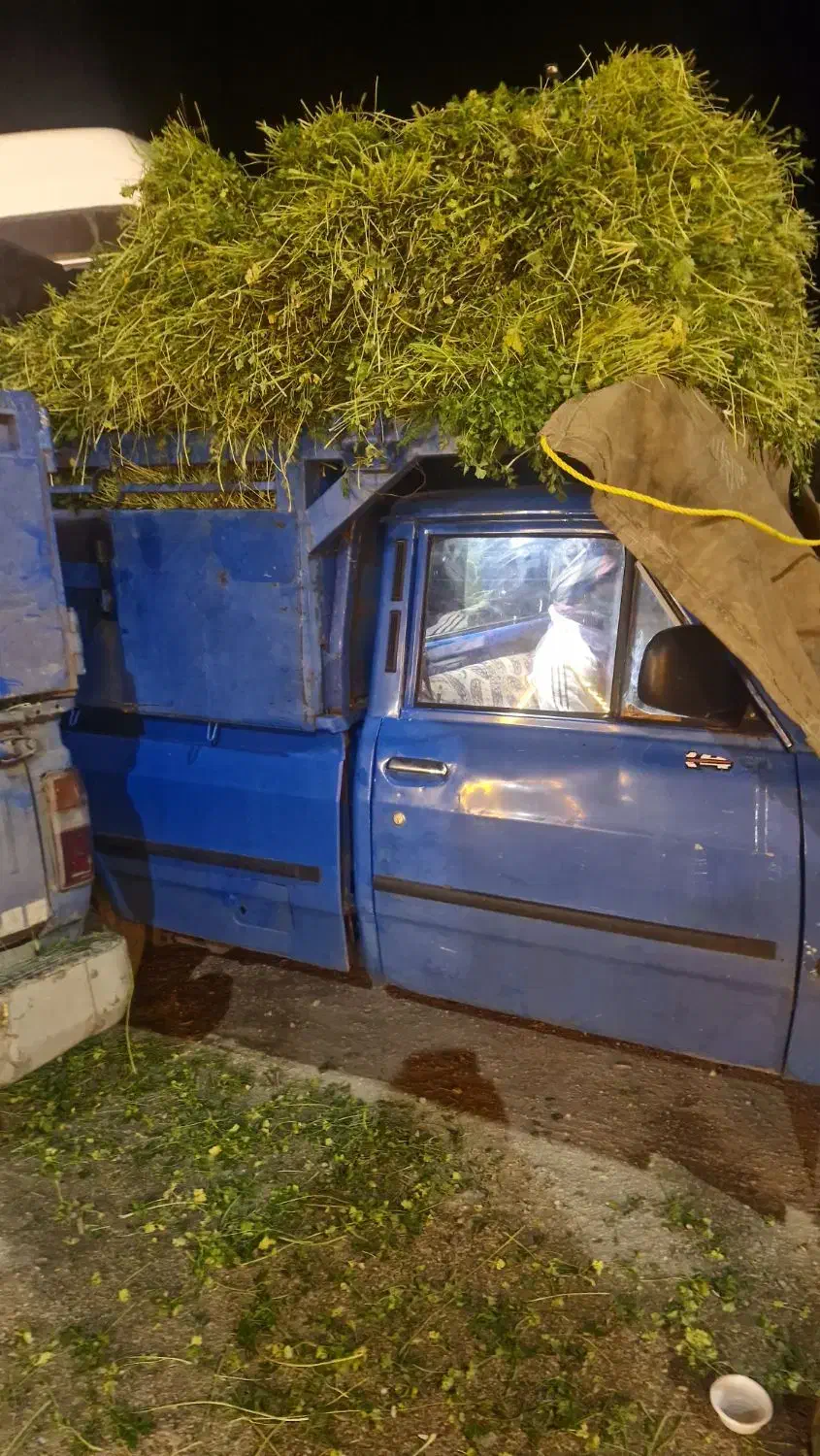 نیسان نیشابور به اسفراین|خدمات حمل و نقل|نیشابور, مبارکه|دیوار