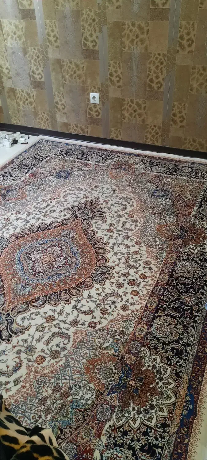 فرش ۶ متری|فرش|اندیشه, شهرک صدف|دیوار