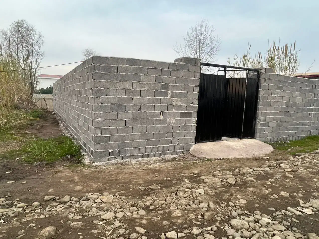 زمین مسکونی چاف چمخاله ۱۹۰ متری سنددار|فروش زمین و ملک کلنگی|چاف و چمخاله, |دیوار