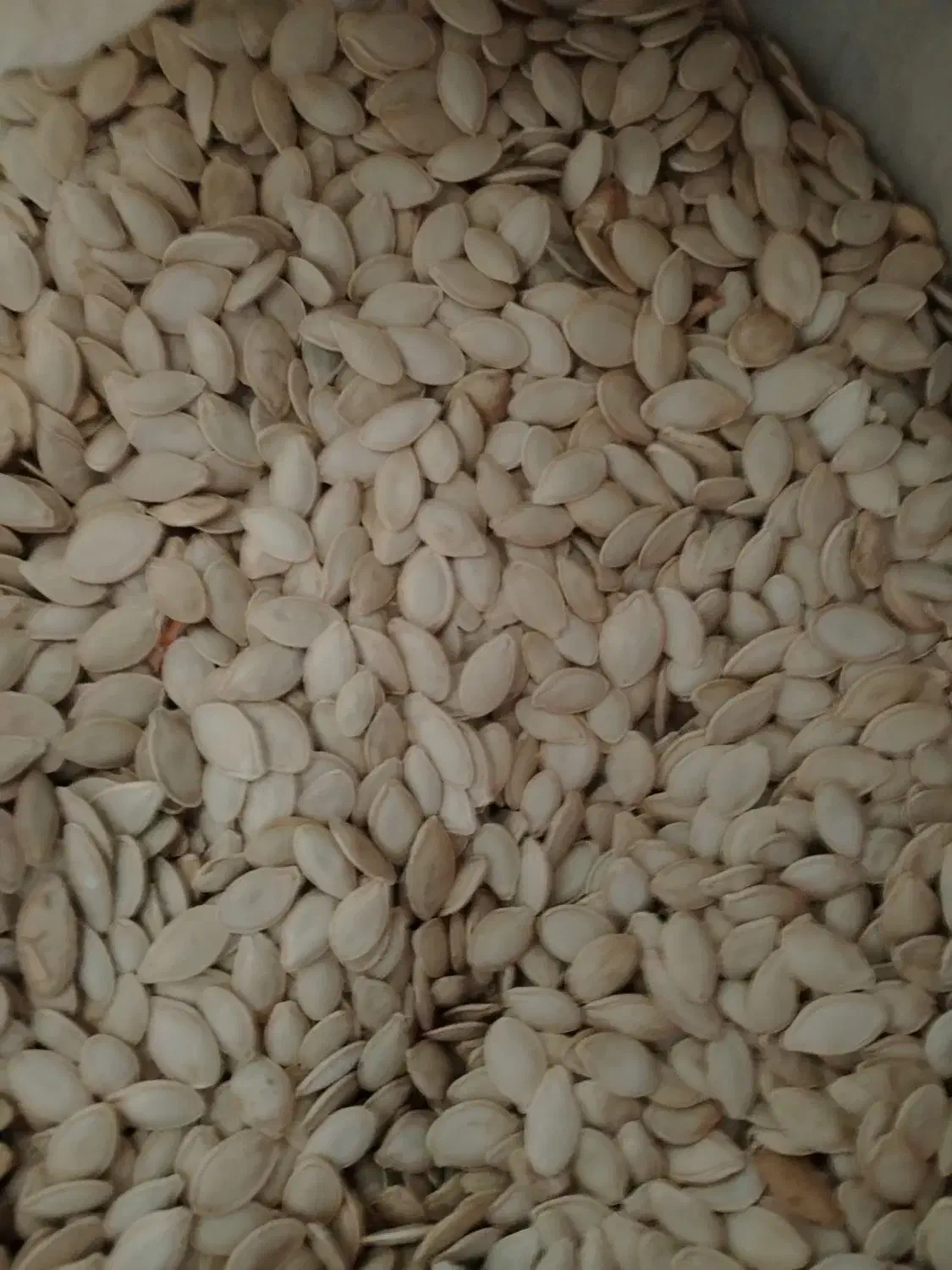 کدووگردو|خوردنی و آشامیدنی|دهگلان, |دیوار