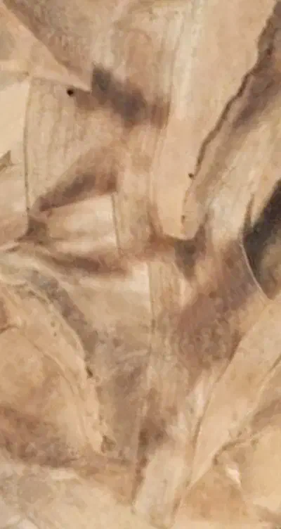 زمین دمه|فروش زمین و ملک کلنگی|اشنویه, |دیوار