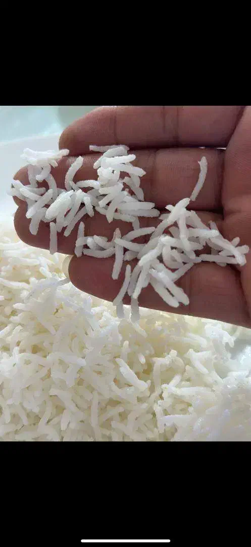 کشت دوم اعیانی فریدونکنار|خوردنی و آشامیدنی|فریدونکنار, |دیوار