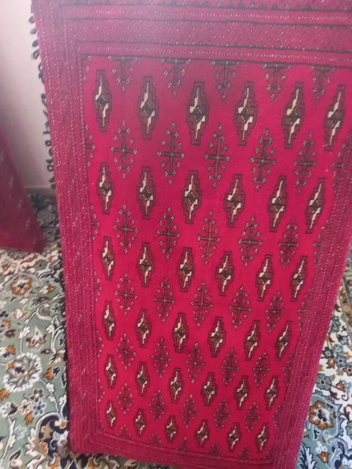 ۴عدد|پشتی|پردیس, فاز ۲|دیوار