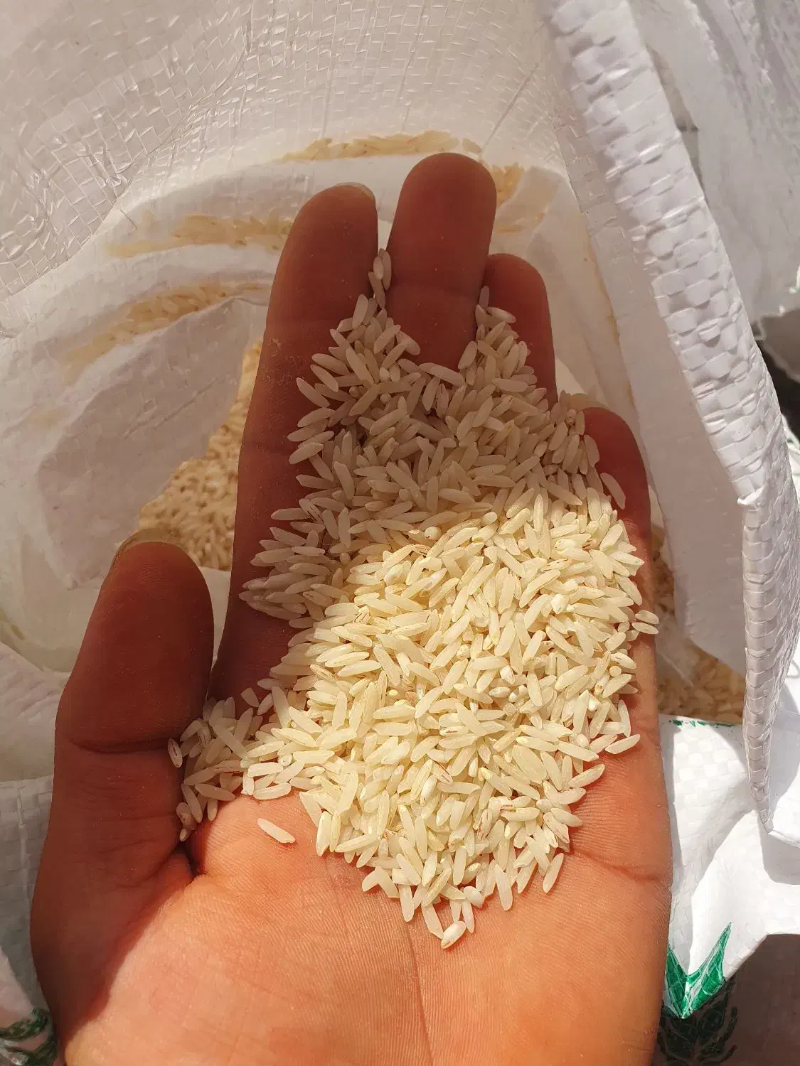 فروش فوری برنج طارم خالص اصل درجه یک|خوردنی و آشامیدنی|قائم‌شهر, |دیوار