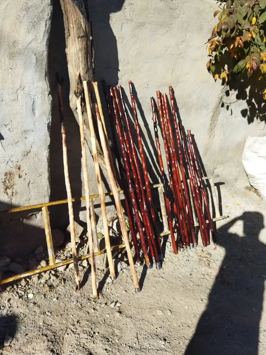 چوب دستی|کوهنوردی و کمپینگ|ثمرین, |دیوار