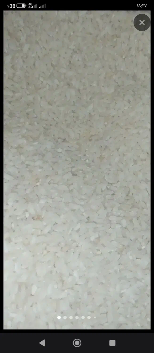 برنج محلی فروش فوری،عمده ای هم داریم|خوردنی و آشامیدنی|دامن, |دیوار