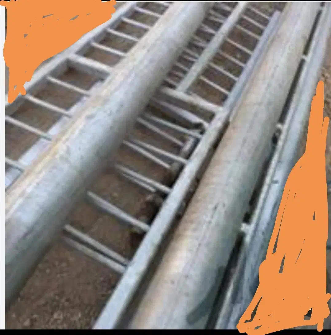 دارقالی|فرش|کاشان, دانش|دیوار