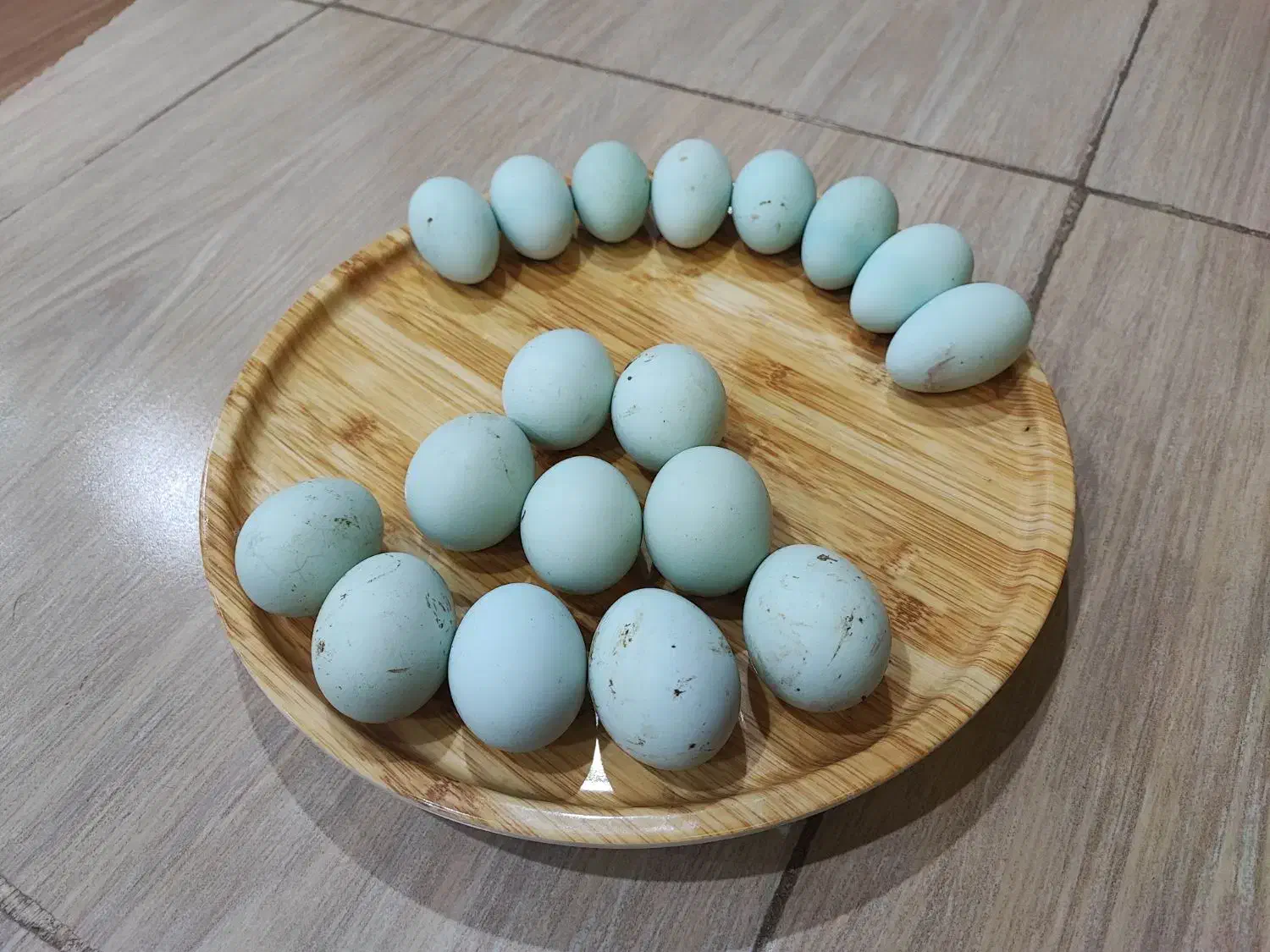 تخم مرغ نژاد امرکانا و لاکنزی نطفه دار|حیوانات مزرعه|مریوان, |دیوار