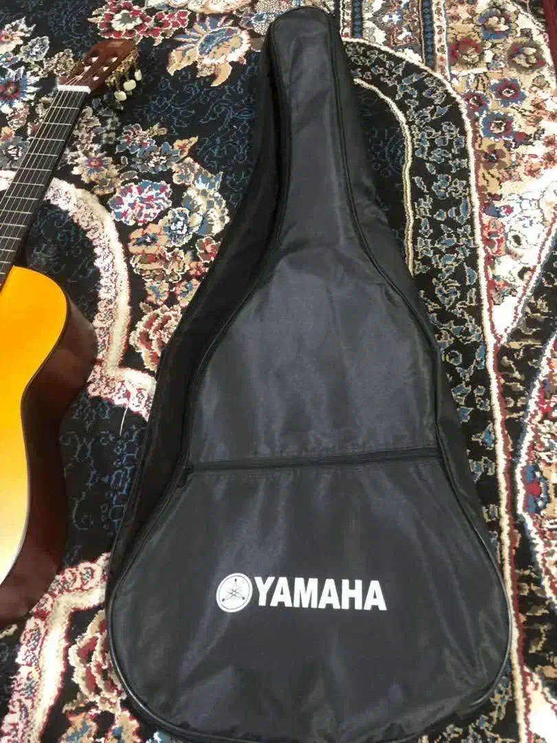 گیتار|گیتار، بیس، امپلیفایر|شیراز, بید زرد|دیوار