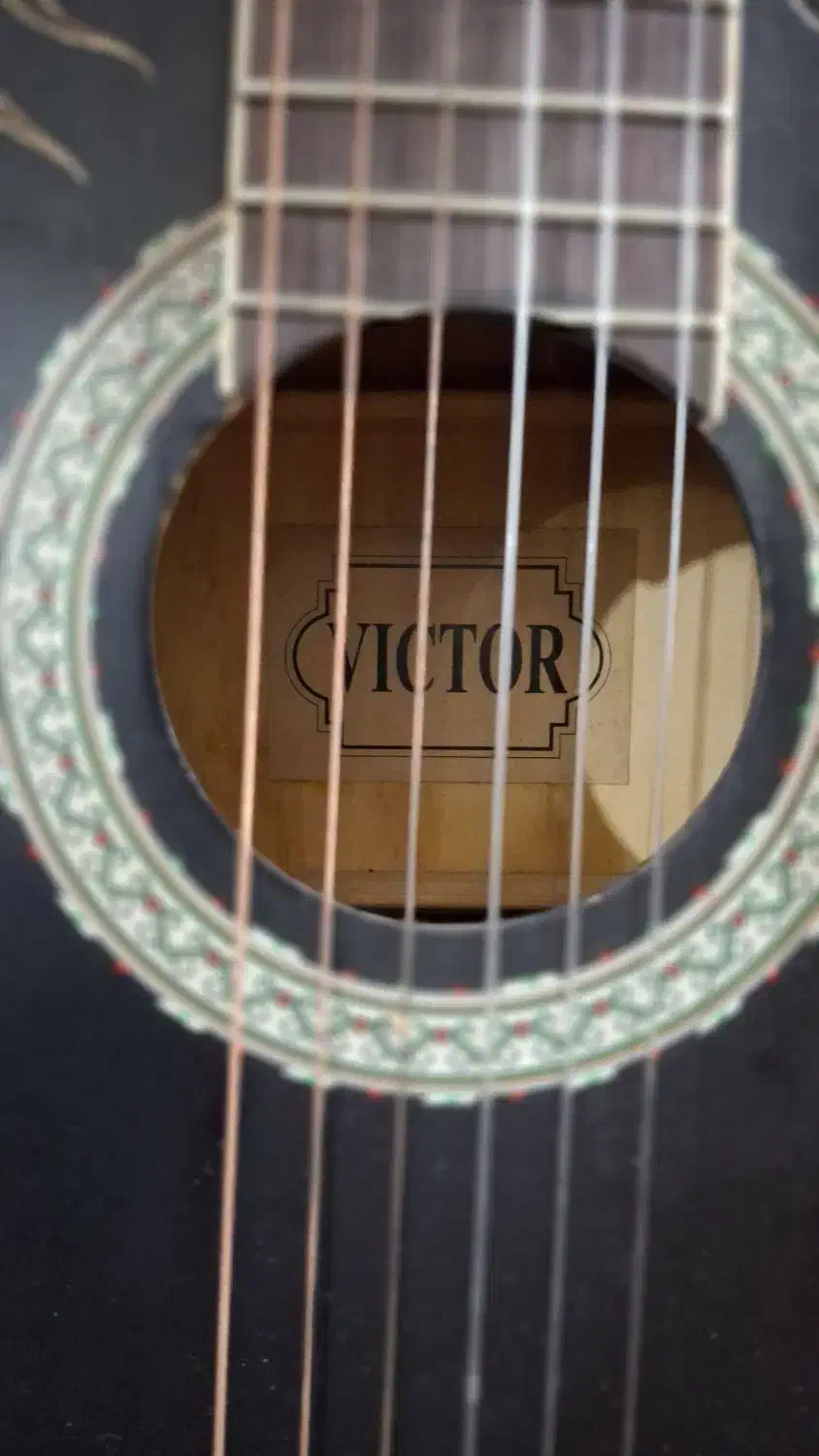 فروش گیتار|گیتار، بیس، امپلیفایر|یزد, |دیوار