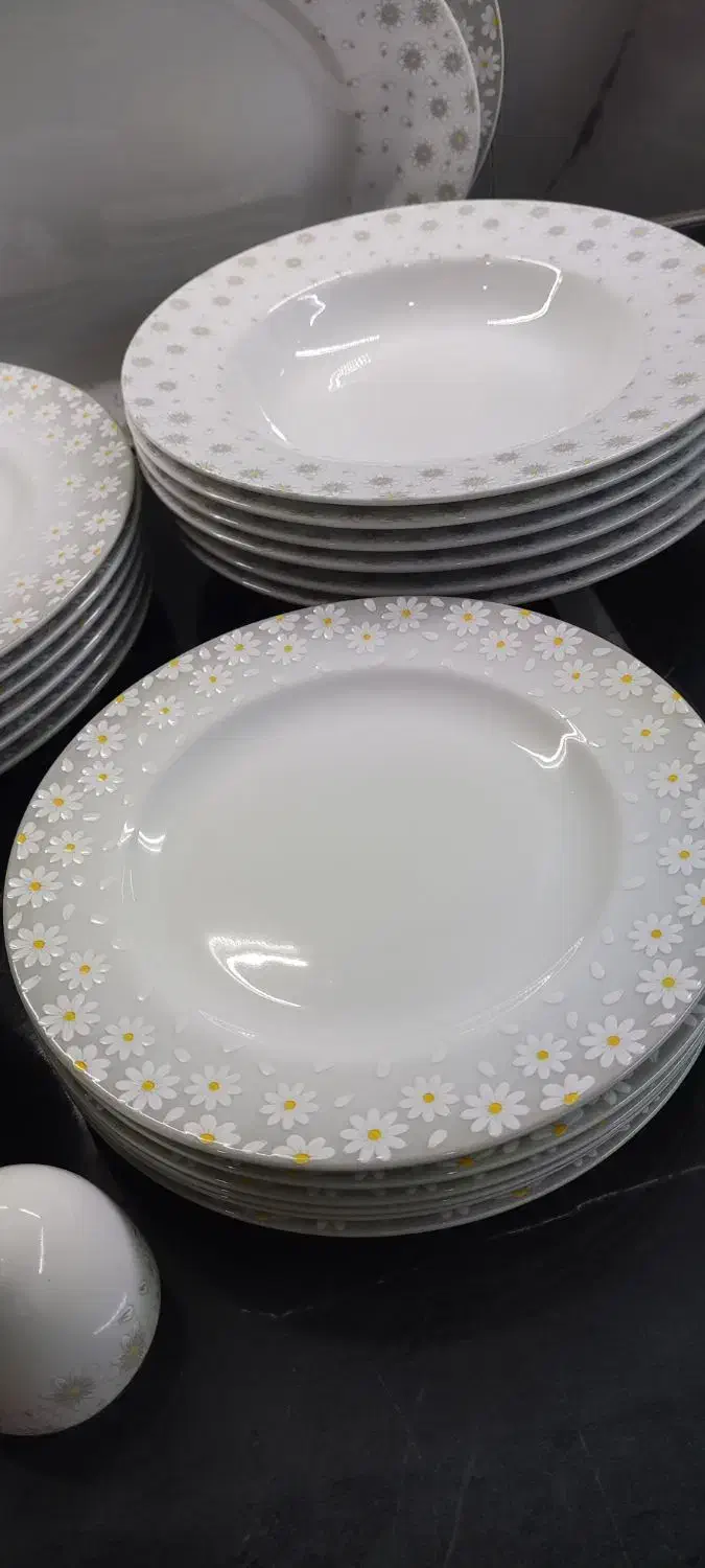 سرویس چینی زرین|ظروف سرو و پذیرایی|رباط‌کریم, رباط‌کریم|دیوار