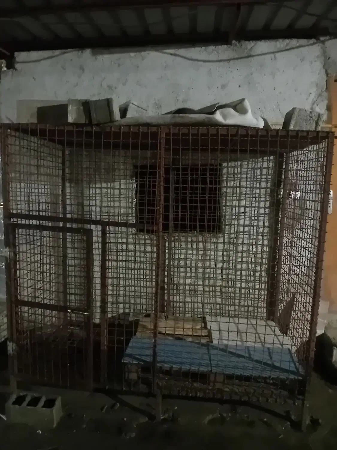 قفس سگ..|لوازم جانبی حیوانات|بابل, |دیوار