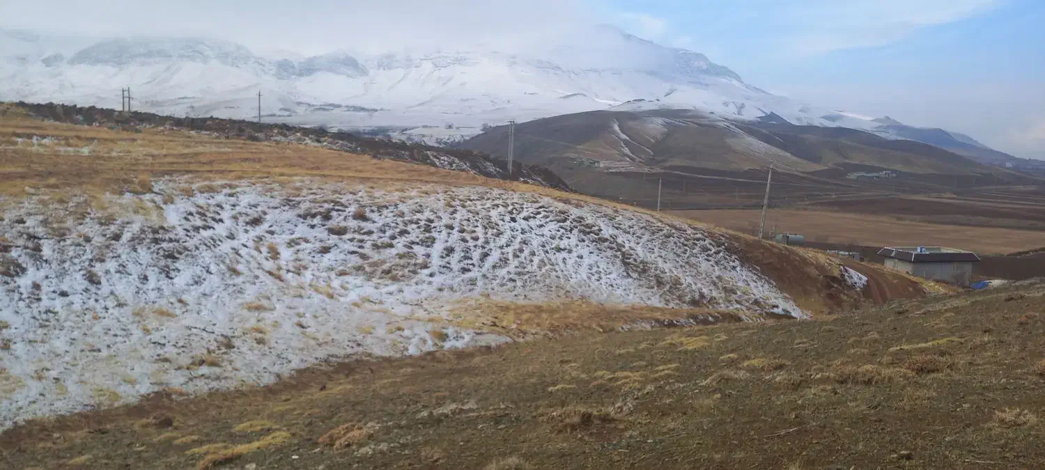 زمین|فروش زمین و ملک کلنگی|سنقر, |دیوار