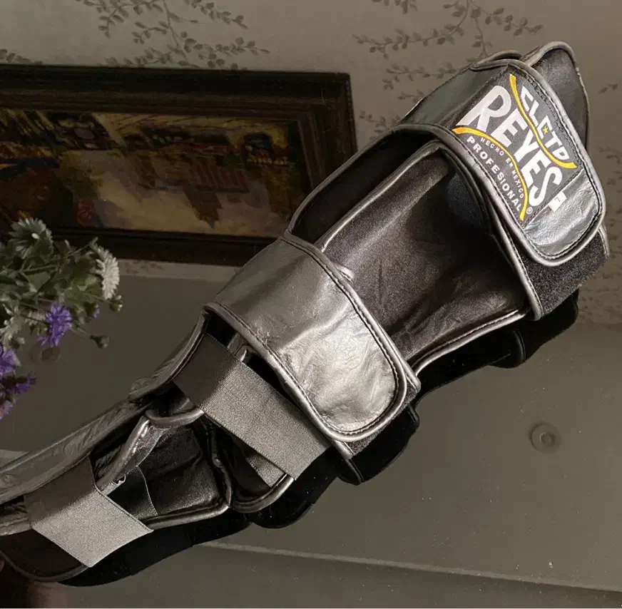 ساق بند reyes|تجهیزات ورزشی|تهران, سازمان آب|دیوار