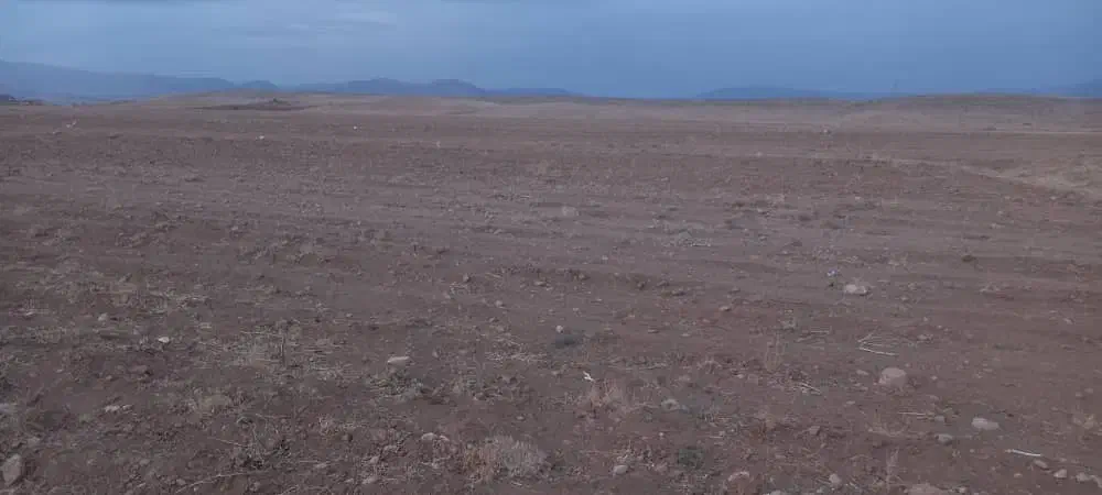 4هزار متر زمین کشاورزی فروشی|فروش زمین و ملک کلنگی|بیضا, |دیوار