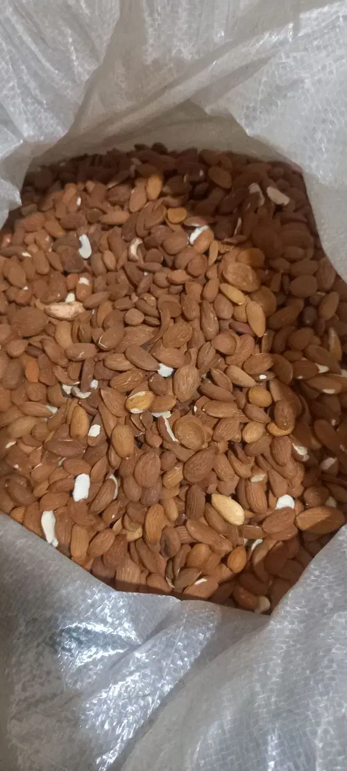 مغز بادام شیرین|خوردنی و آشامیدنی|ساری, |دیوار