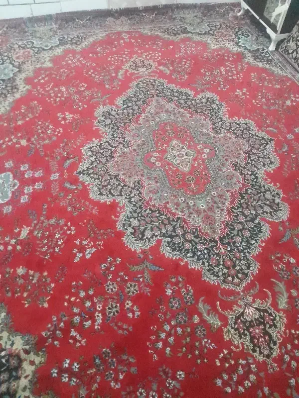 فرش دوازده متری|فرش|داراب, |دیوار