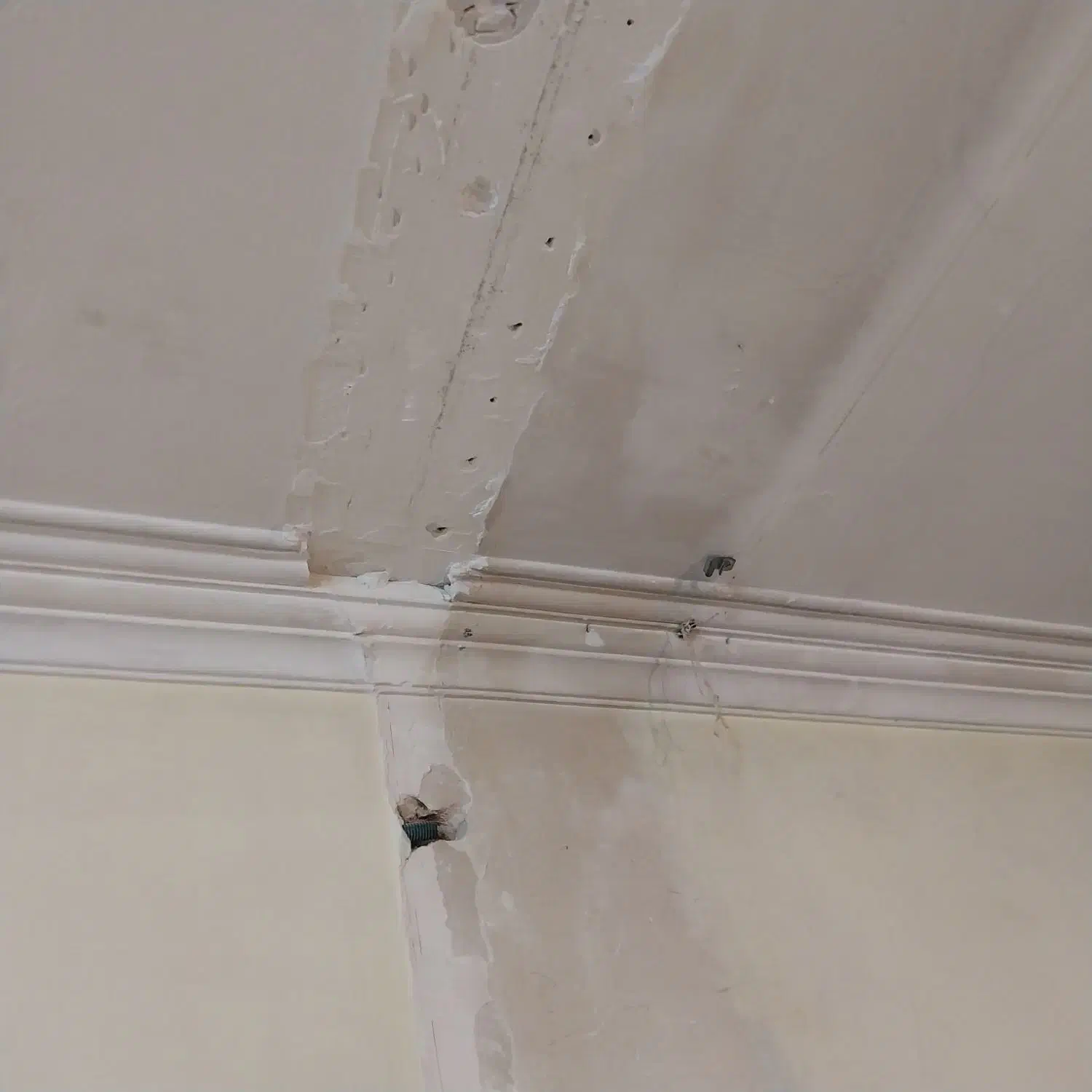 لکه گیری گچکاری درجه یک|خدمات پیشه و مهارت|مشهد, طبرسی شمالی|دیوار