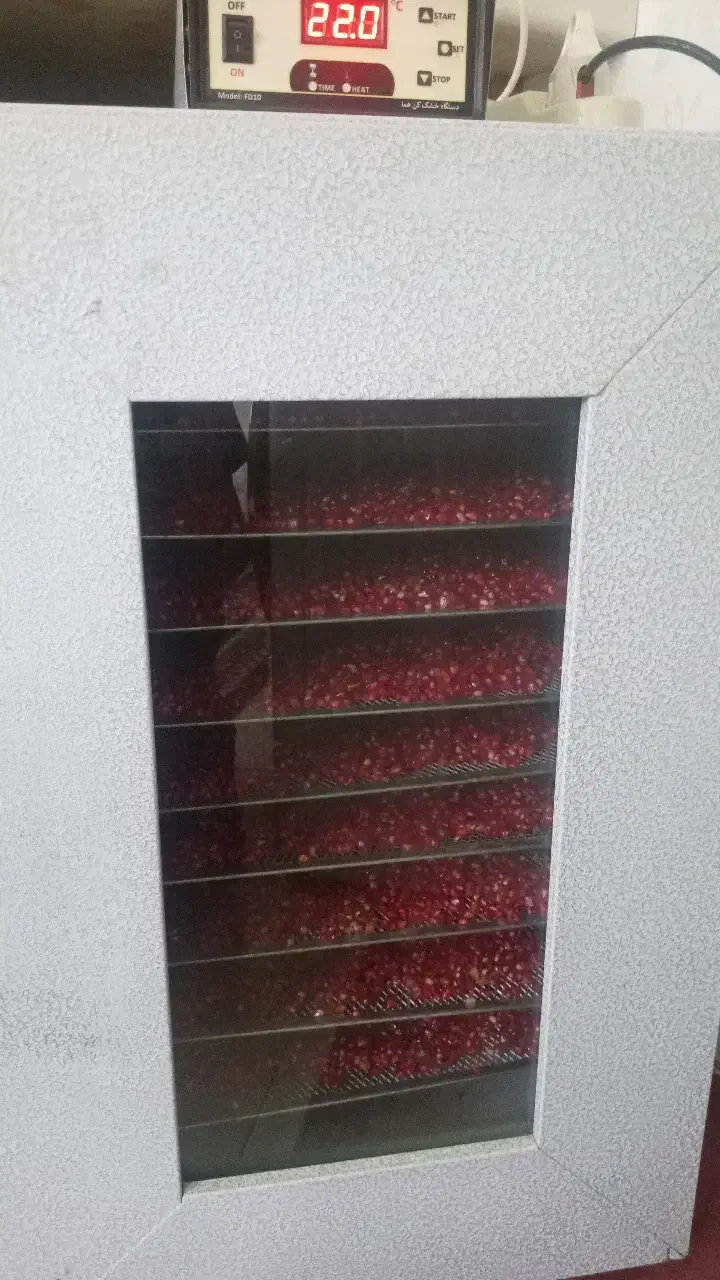 دستگاه میوه خشک موجوده|خوردنی و آشامیدنی|بندر گز, |دیوار