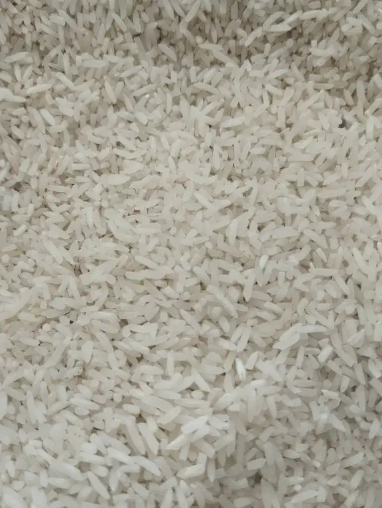 برنج نیم دانه هاشمی|خوردنی و آشامیدنی|باغستان, |دیوار